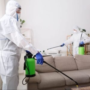 شركة مكافحة ورش حشرات بالمدينة المنورة