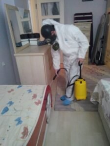 شركة رش بق الفراش بالمدينة المنورة