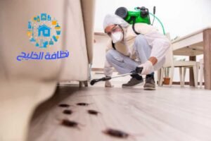 شركة مكافحة صراصير بالمدينة المنورة