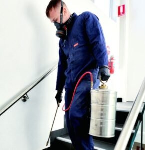 شركة ابادة الوزغ بالمدينة المنورة